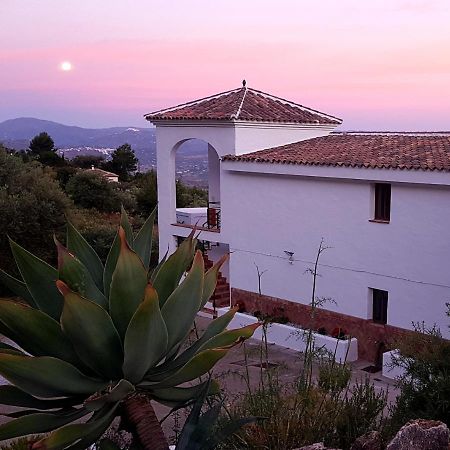 Casa Arts Guest Rooms Alcaucín Esterno foto